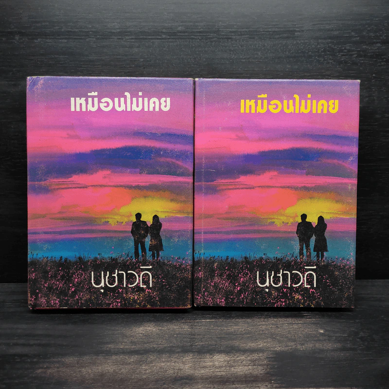 เหมือนไม่เคย 2 เล่มจบ (ปกแข็ง) - นุชาวดี รูปที่ 1