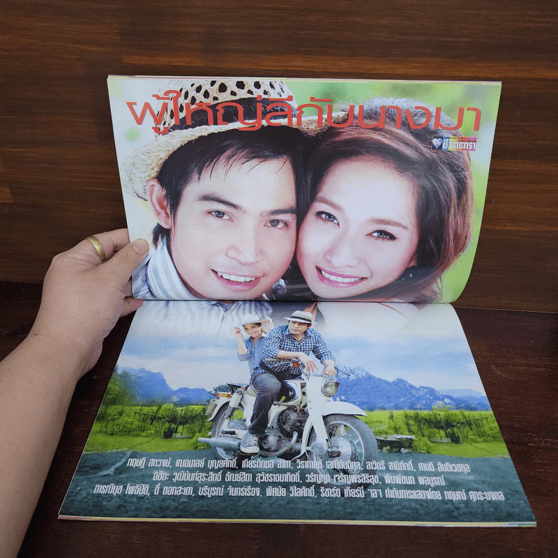 ผู้ใหญ่ลีกับนางมา เรื่องย่อละคร ชีวิตดารา รูปที่ 2