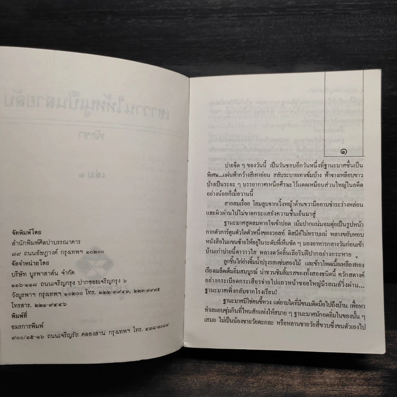 เขาวานให้หนูเป็นสายลับ 2 เล่มจบ - พัดชา รูปที่ 5