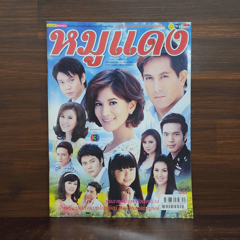 หมูแดง เรื่องย่อละคร ชีวิตดารา รูปที่ 1
