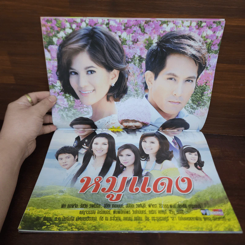 หมูแดง เรื่องย่อละคร ชีวิตดารา รูปที่ 2