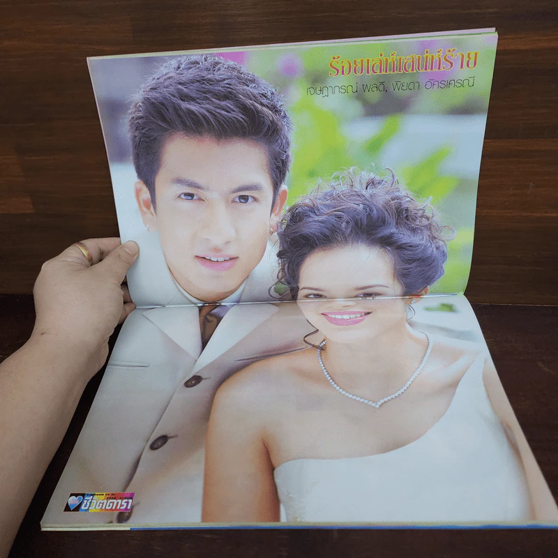 ร้อยเล่ห์เสน่ห์ร้าย เรื่องย่อละคร ชีวิตดารา รูปที่ 2