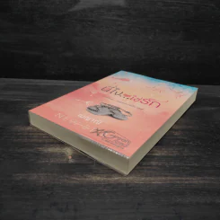 นี่ไง...ใช่รัก - เมญาณี รูปที่ 4