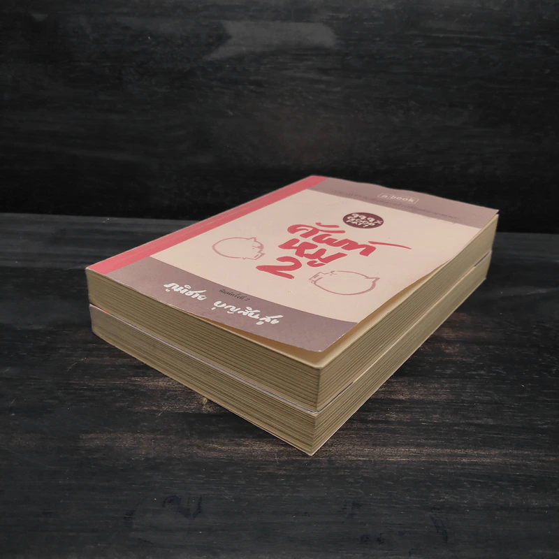 ศัพท์หมู เล่ม 1-2 - ภูมิชาย บุญสินสุข รูปที่ 4