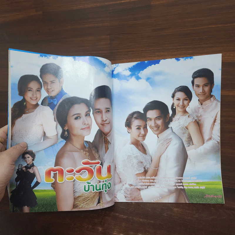 ตะวันบ้านทุ่ง เรื่องย่อละคร ภาพยนตร์บันเทิง รูปที่ 2