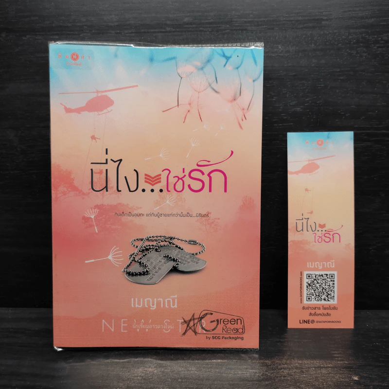 นี่ไง...ใช่รัก - เมญาณี รูปที่ 1