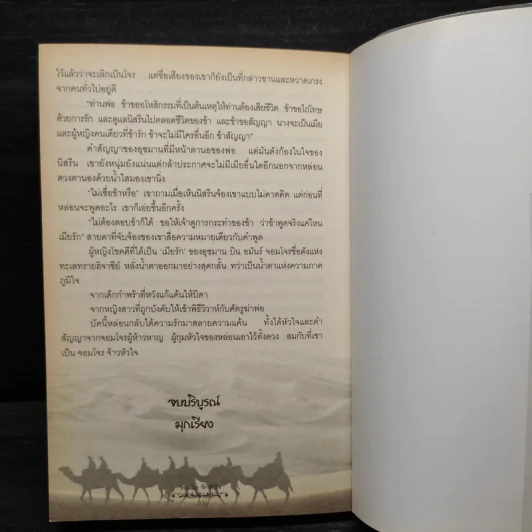 จอมโจรจ้าวหัวใจ - มุกเรียง รูปที่ 8