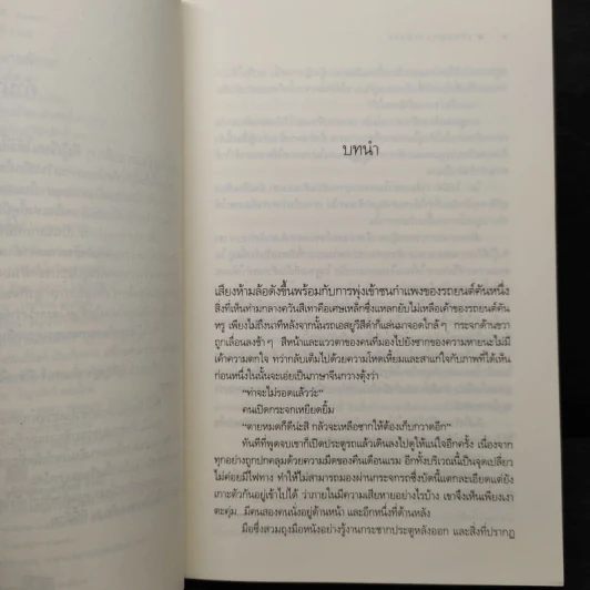 เลื่อมมุกลายมังกร - ลีฬวรา รูปที่ 6