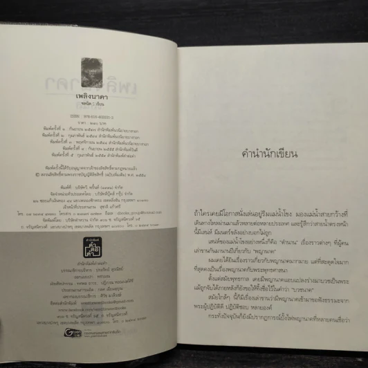 เพลิงนาคา - ชลนิล รูปที่ 5