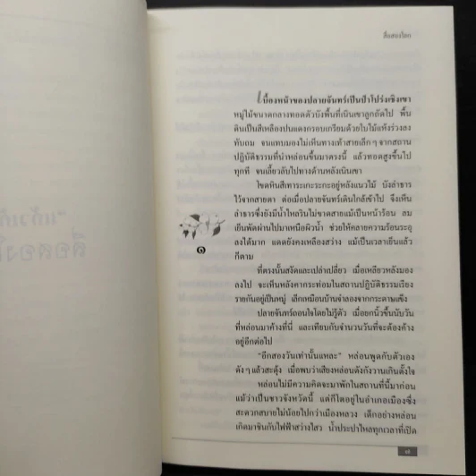 สื่อสองโลก - แก้วเก้า รูปที่ 6