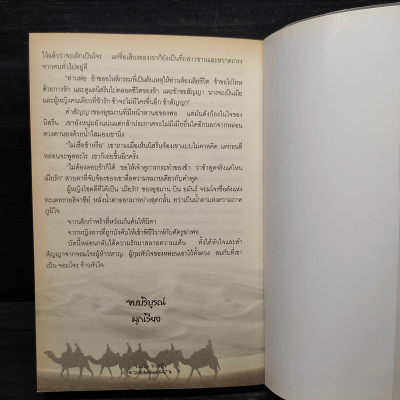 จอมโจรจ้าวหัวใจ - มุกเรียง รูปที่ 8