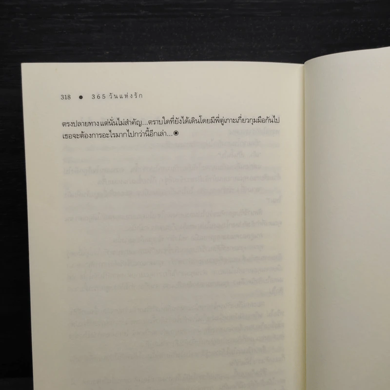 365 วันแห่งรัก - ร่มแก้ว รูปที่ 7