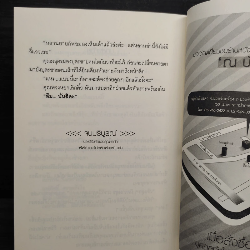 พลับพลึงสีรุ้ง - ฬีฬา รูปที่ 7