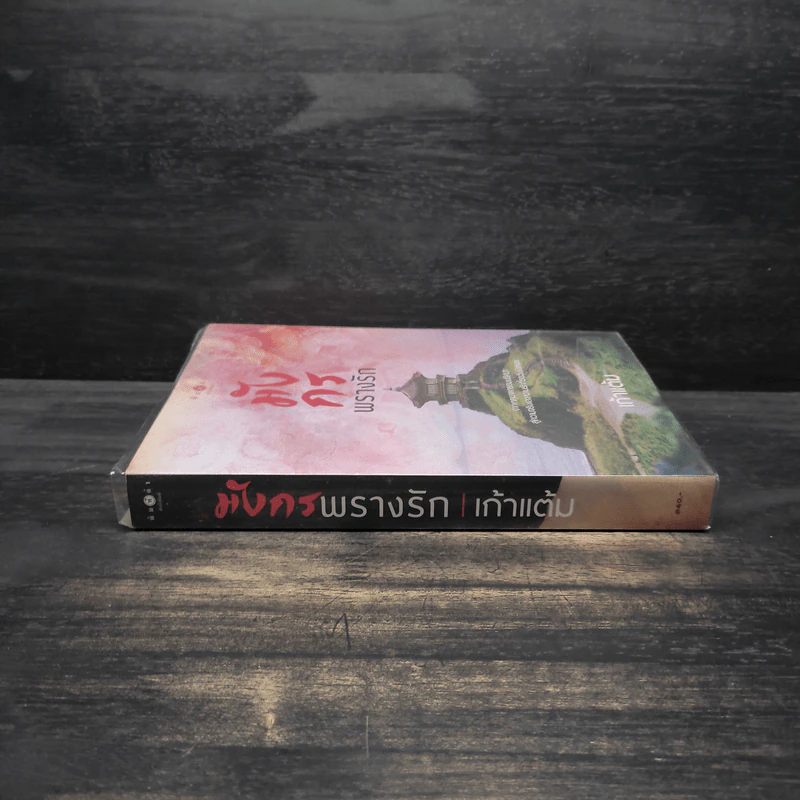 มังกรพรางรัก - เก้าแต้ม รูปที่ 3
