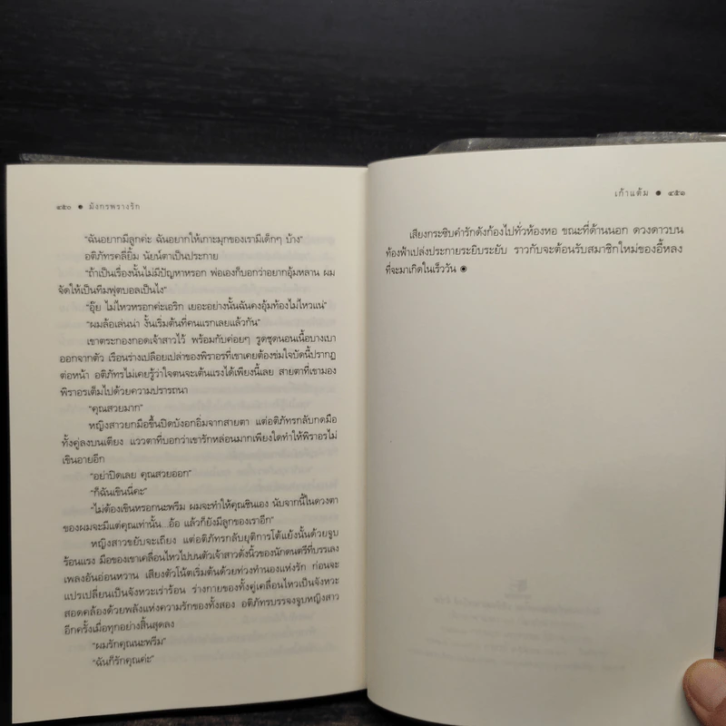 มังกรพรางรัก - เก้าแต้ม รูปที่ 7