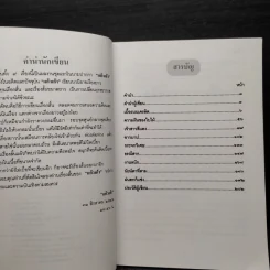 พลอยเก้าสี - แก้วเก้า รูปที่ 6