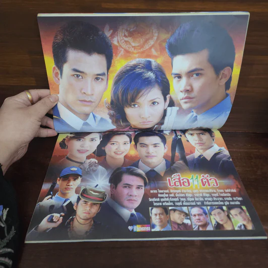 เสือ 11 ตัว เรื่องย่อละคร ชีวิตดารา รูปที่ 2