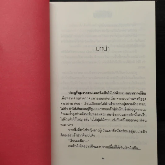 พะนอขวัญ - ฬีฬา รูปที่ 6
