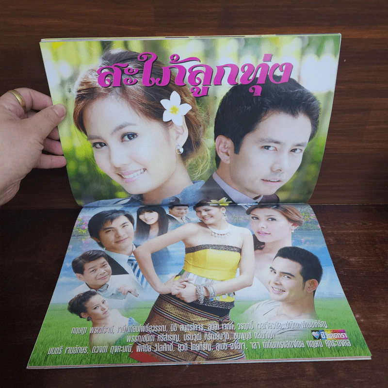 สะใภ้ลูกทุ่ง เรื่องย่อละคร ชีวิตดารา รูปที่ 2