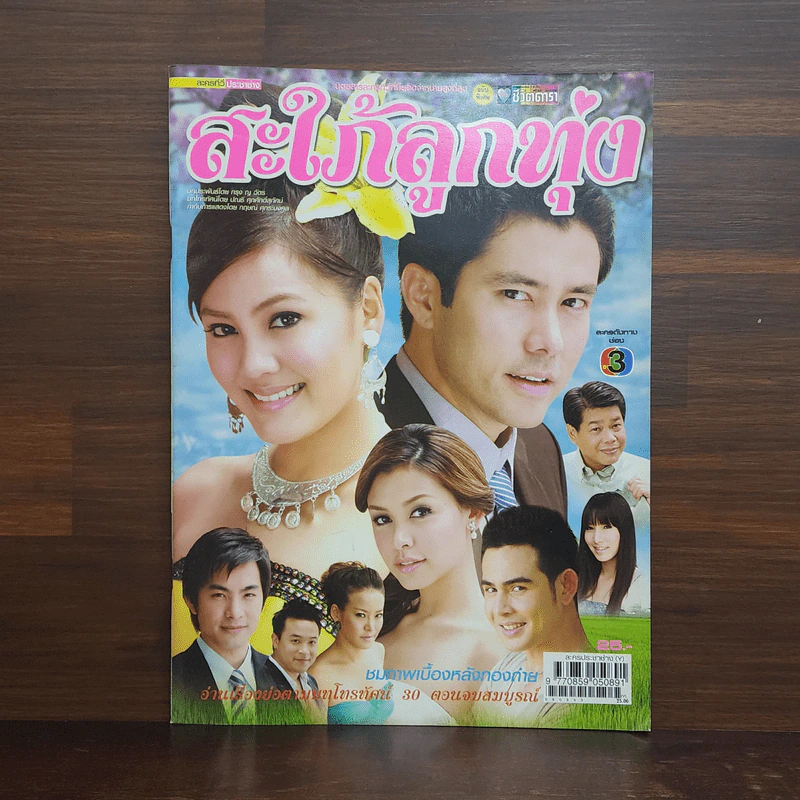 สะใภ้ลูกทุ่ง เรื่องย่อละคร ชีวิตดารา รูปที่ 1