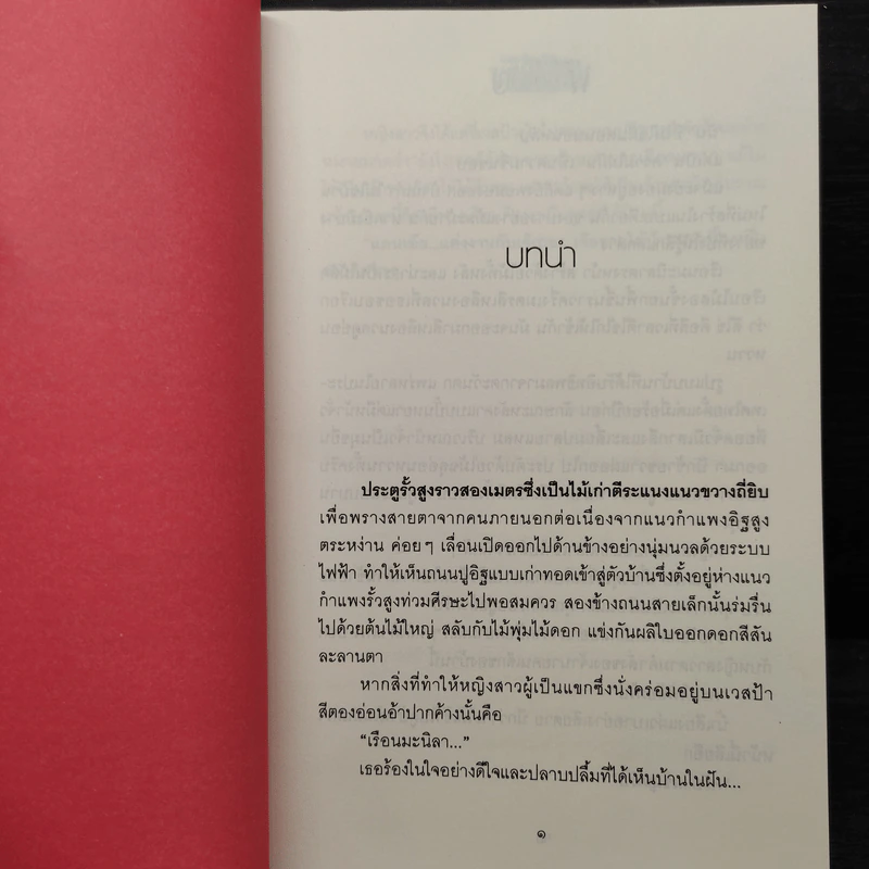 พะนอขวัญ - ฬีฬา รูปที่ 6