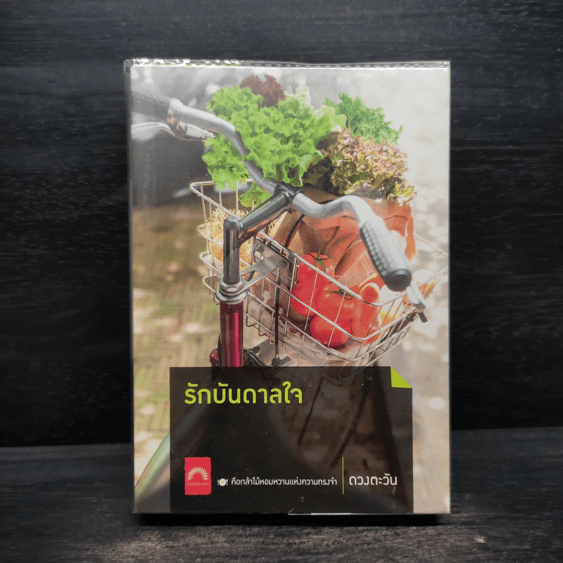รักบันดาลใจ - ดวงตะวัน รูปที่ 1