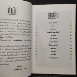 หุนหันพลันฆ่า - มนันยา รูปที่ 6
