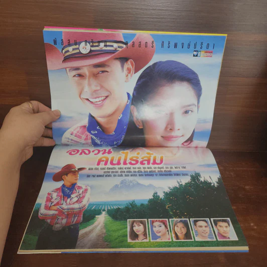 อลวนคนไร่ส้ม เรื่องย่อละคร ชีวิตดารา รูปที่ 2