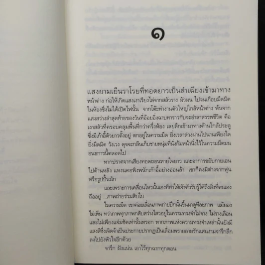 แสงเงารัก - ดวงตะวัน รูปที่ 7
