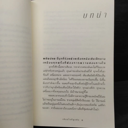เพียงใจที่ผูกพัน - กิ่งฉัตร รูปที่ 6