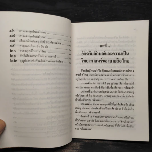 อัจฉริยลักษณ์และความเป็นวิทยาศาสตร์ของลายสือไทย - นเรศ นโรปกรณ์ รูปที่ 8