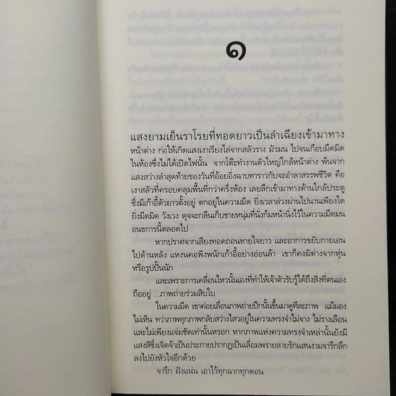 แสงเงารัก - ดวงตะวัน รูปที่ 7