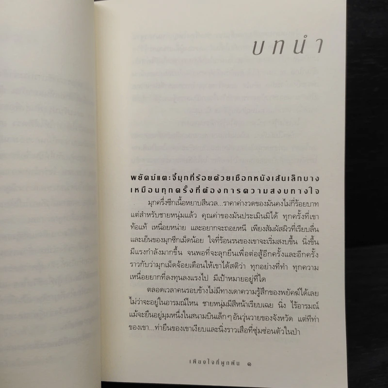 เพียงใจที่ผูกพัน - กิ่งฉัตร รูปที่ 6