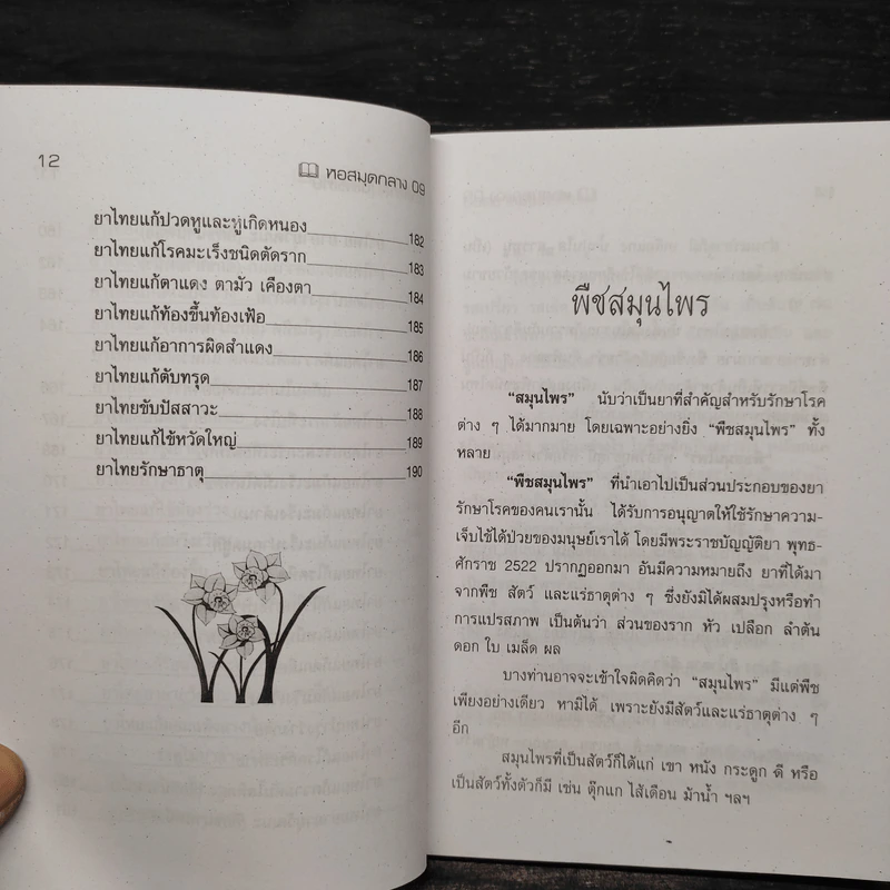 ยอดยาสมุนไพรไทย จากตำราแพทย์โบราณ - ภาณุทรรศน์ รูปที่ 9