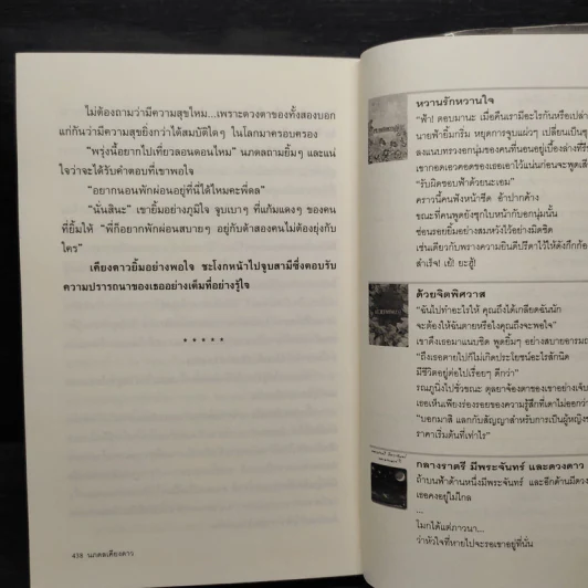 นภดลเคียงดาว - แอลลี่ รูปที่ 8