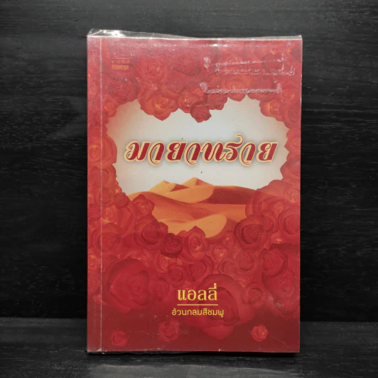 มายาทราย - แอลลี่ รูปที่ 1