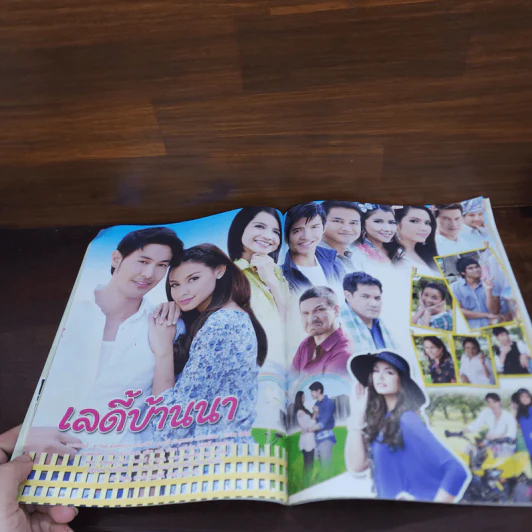 เลดี้บ้านนา เรื่องย่อละคร ภาพยนตร์บันเทิง รูปที่ 2