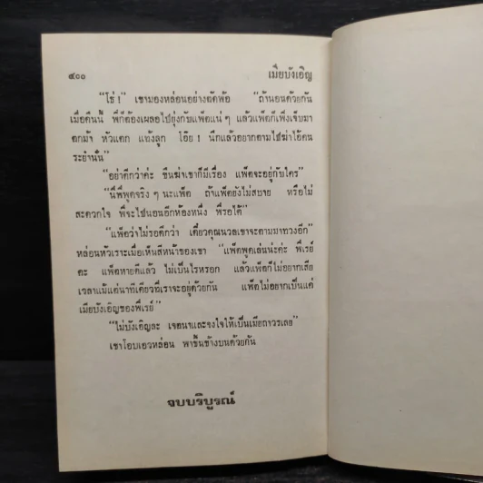 เมียบังเอิญ - จามรี พรรณชมพู รูปที่ 6
