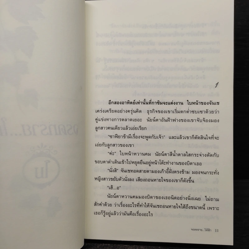 จรดทราย...ใต้ฟ้า - โม รูปที่ 6