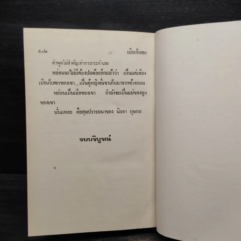 เมียเก็บตก - วลัย นวาระ รูปที่ 6