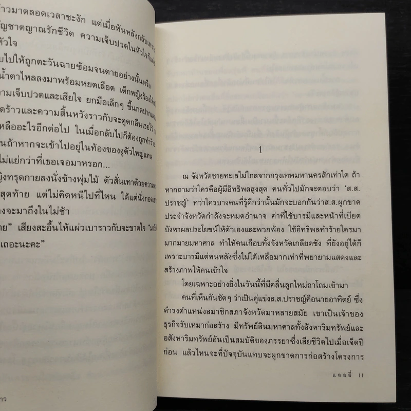 นภดลเคียงดาว - แอลลี่ รูปที่ 7