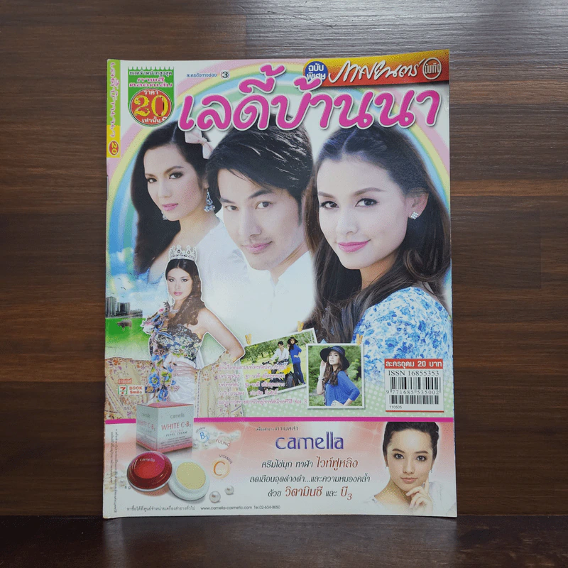 เลดี้บ้านนา เรื่องย่อละคร ภาพยนตร์บันเทิง รูปที่ 1