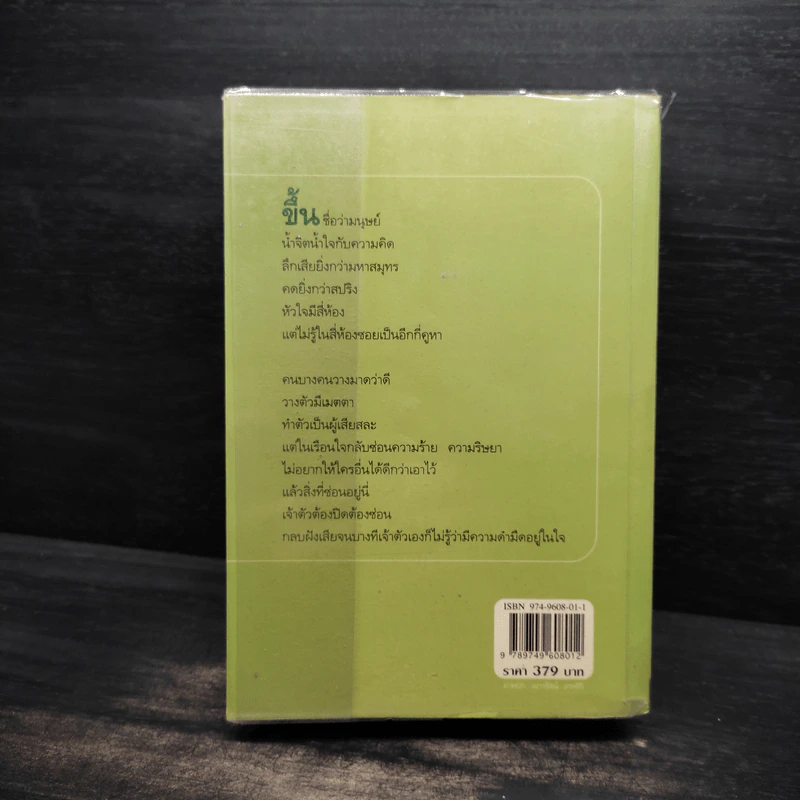 ในเรือนใจ - กิ่งฉัตร รูปที่ 2