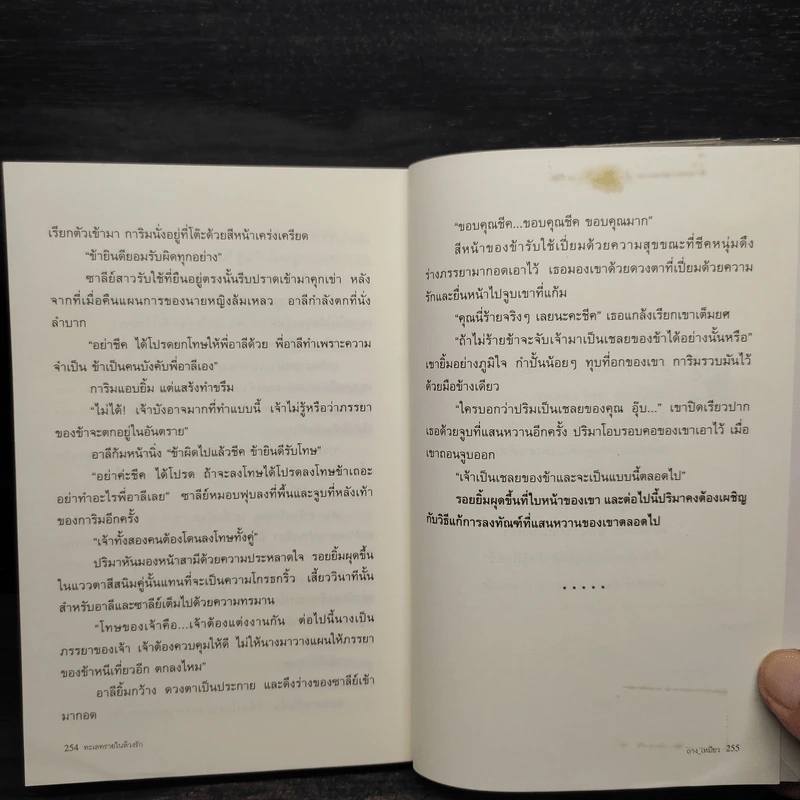 ทะเลทรายในห้วงรัก - ถาง_เหมียว รูปที่ 7