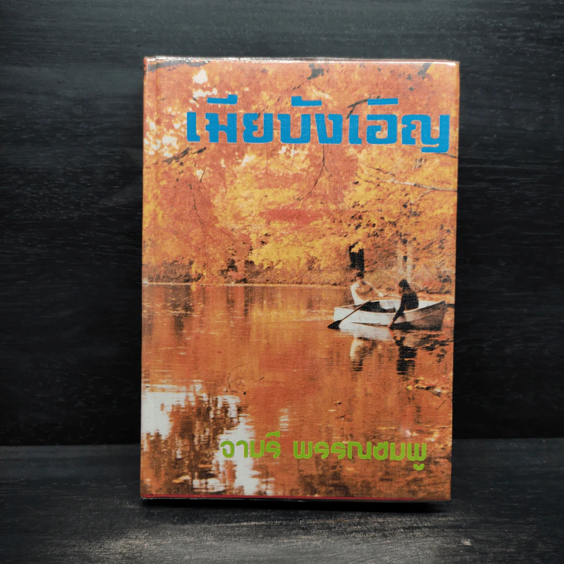 เมียบังเอิญ - จามรี พรรณชมพู รูปที่ 1