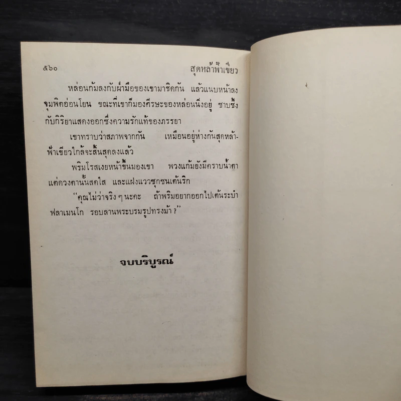 สุดหล้าฟ้าเขียว - จามรี พรรณชมพู รูปที่ 6