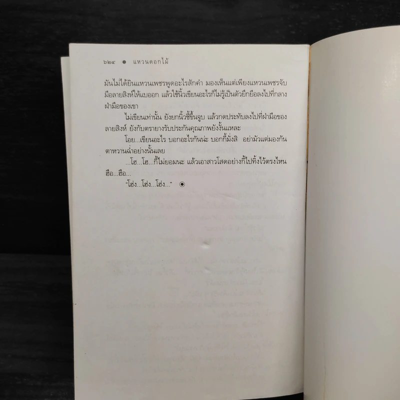 แหวนดอกไม้ - ดวงตะวัน รูปที่ 7