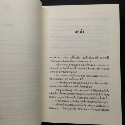 เงาเสน่หา - นราเกตต์ รูปที่ 6