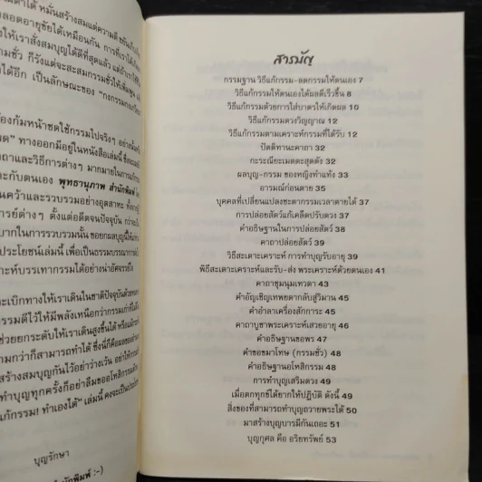 แก้กรรม! ทำเองได้ - จิตศรัทธา พุทธานุภาพ รูปที่ 6