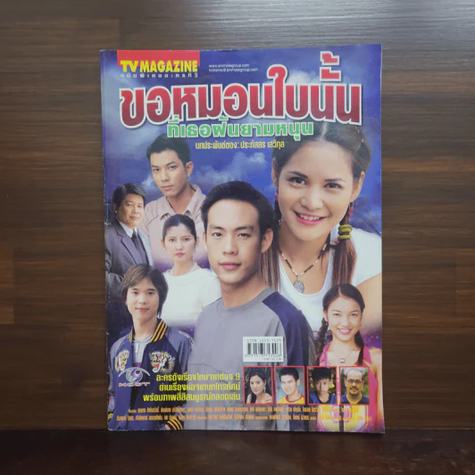 ขอหมอนใบนั้นที่เธอฝันยามหนุน เรื่องย่อละคร ทีวีแม็กกาซีน รูปที่ 1